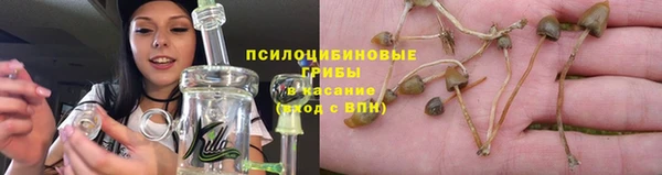 скорость Липки