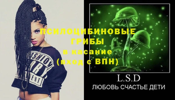 скорость Липки